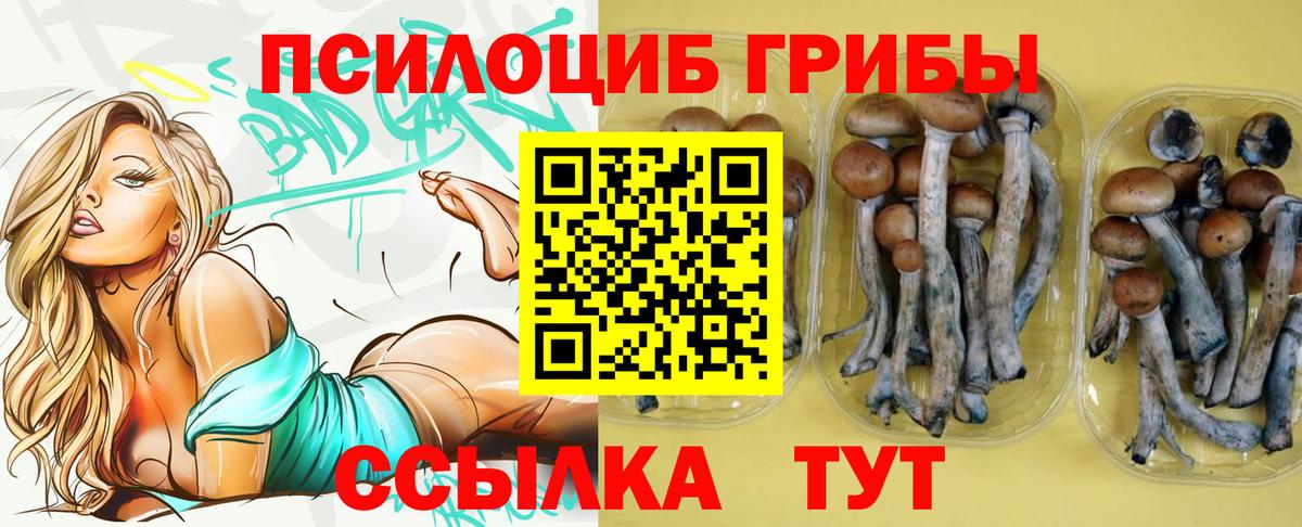 Галлюциногенные грибы Magic Shrooms Ивантеевка
